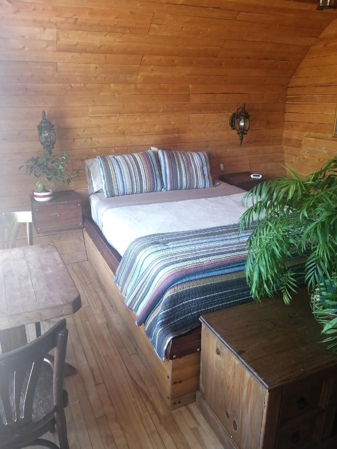 L'Oasis Du Pirate Bed and Breakfast Lévis Εξωτερικό φωτογραφία